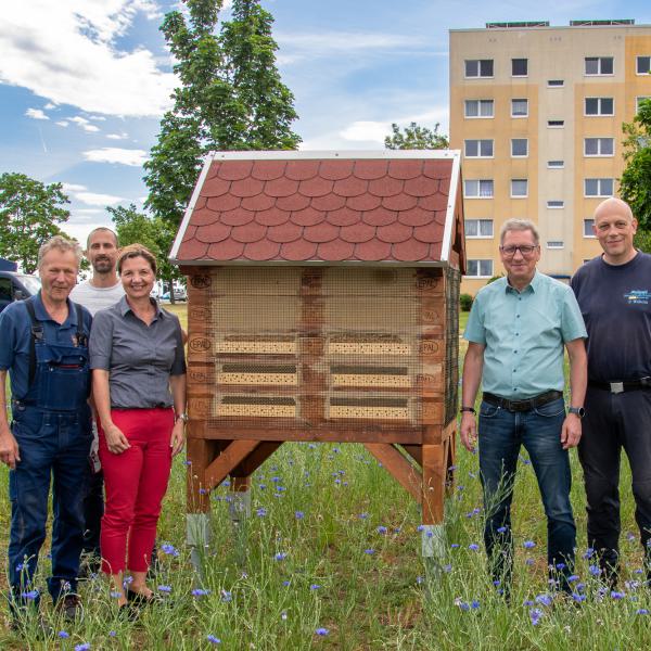 Unsere Schmetterlingswiese mit Insektenhotel